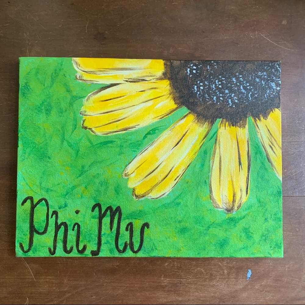 Phi Mu Painting